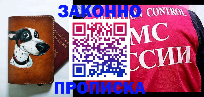 прописка 2025 в Камешково